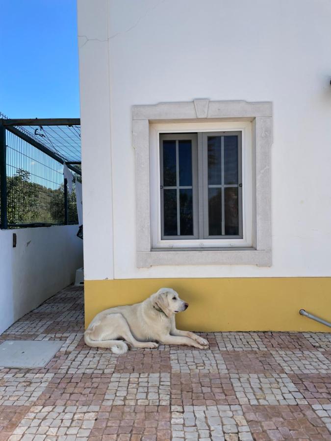 B&B Entrecolinas Падерне Екстериор снимка